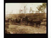 1880cobbcoaches.jpg