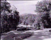 1948fernshawbridge.jpg