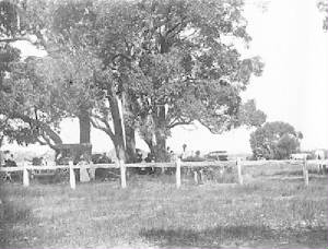 balnarringraces2-1897.jpg