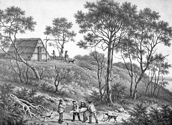 merricks-sealerscamp-1841.jpg
