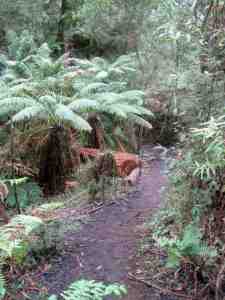 Bridge over Sherbrooke Creek