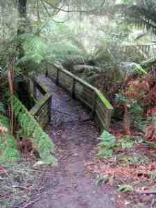 Bridge over Sherbrooke Creek