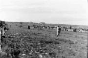 phillipislandraces21957.jpg