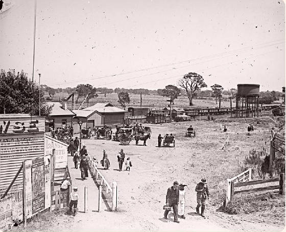 police-paddocks-dandenong-station-c1917.jpg
