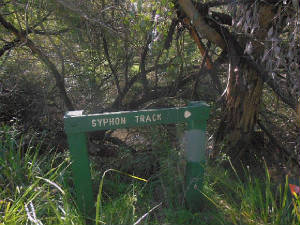police-paddocks-syphon-track3.jpg