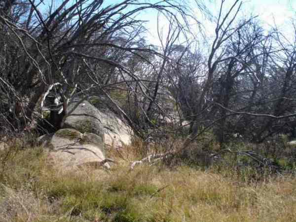 Boulders near Split Rock